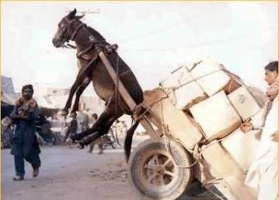 ohhhhhhhhh....3la tkabriya